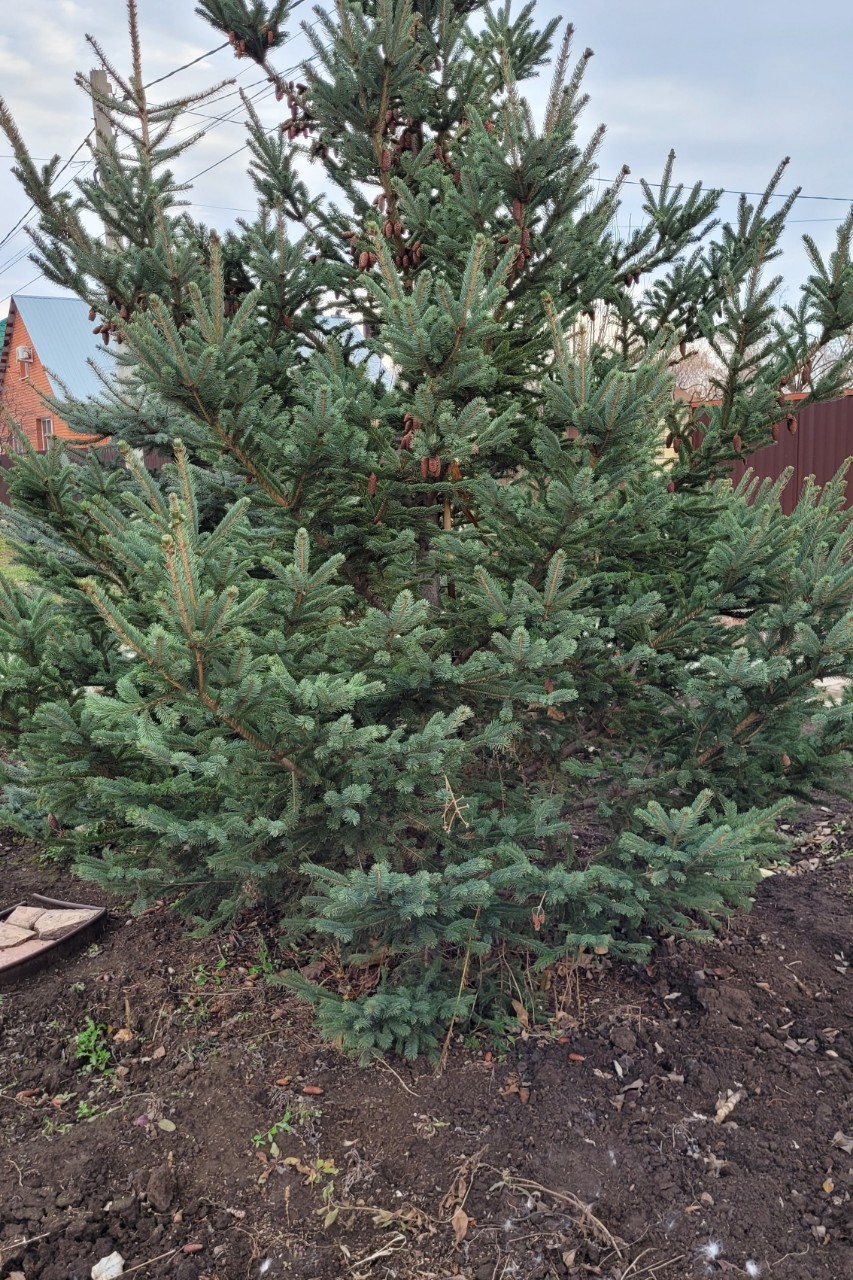 Elena_looky в LOOKY. . После длительного пу...