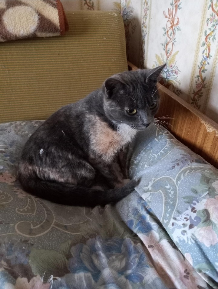 СЧАСТЬЕ  вдобрыеруки в LOOKY — фото 2