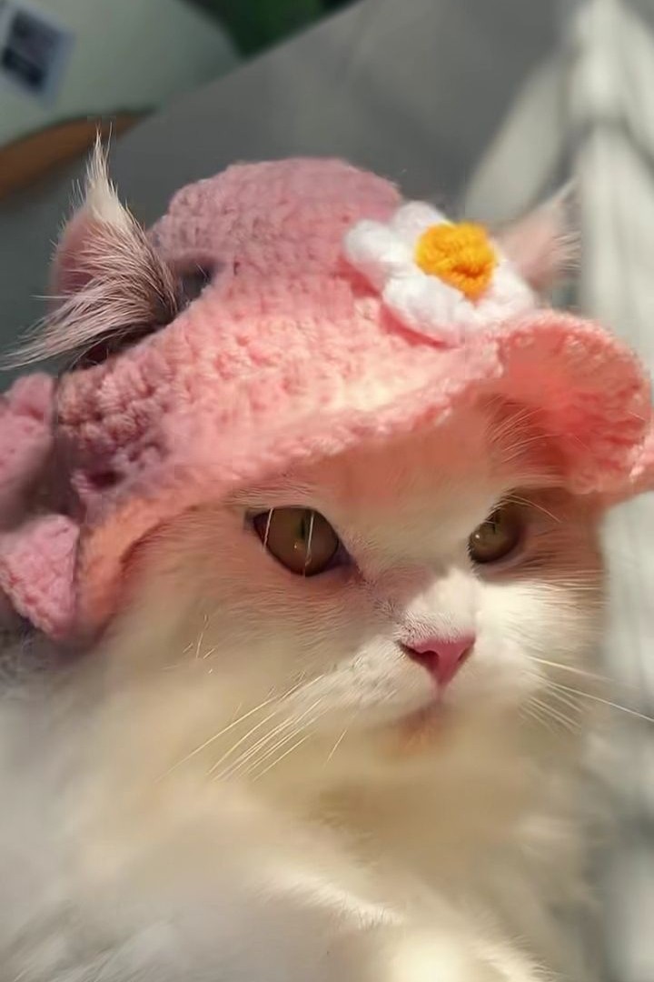  в LOOKY — публикация