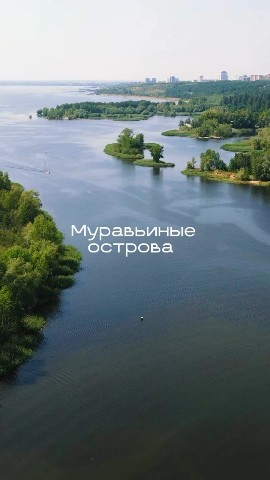 LOOKY_1697280774486 в LOOKY — Муравьиные острова-тайная точка  Тольятти, Россия!