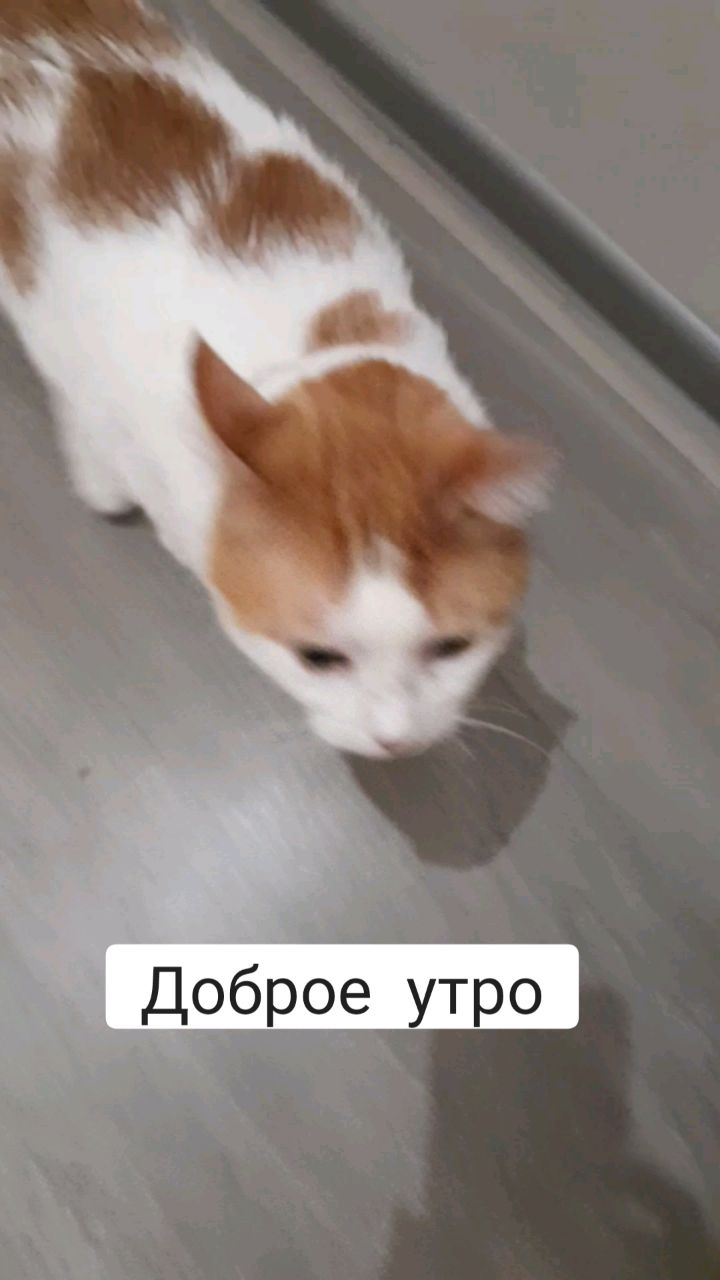 Looky_1669491058858 в LOOKY. . [#любовькжизни ](люб...
