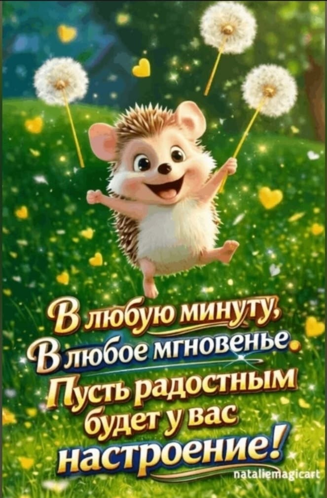  в LOOKY — публикация