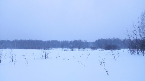 laivelis в LOOKY. #январь24. Хмарь
#январь24