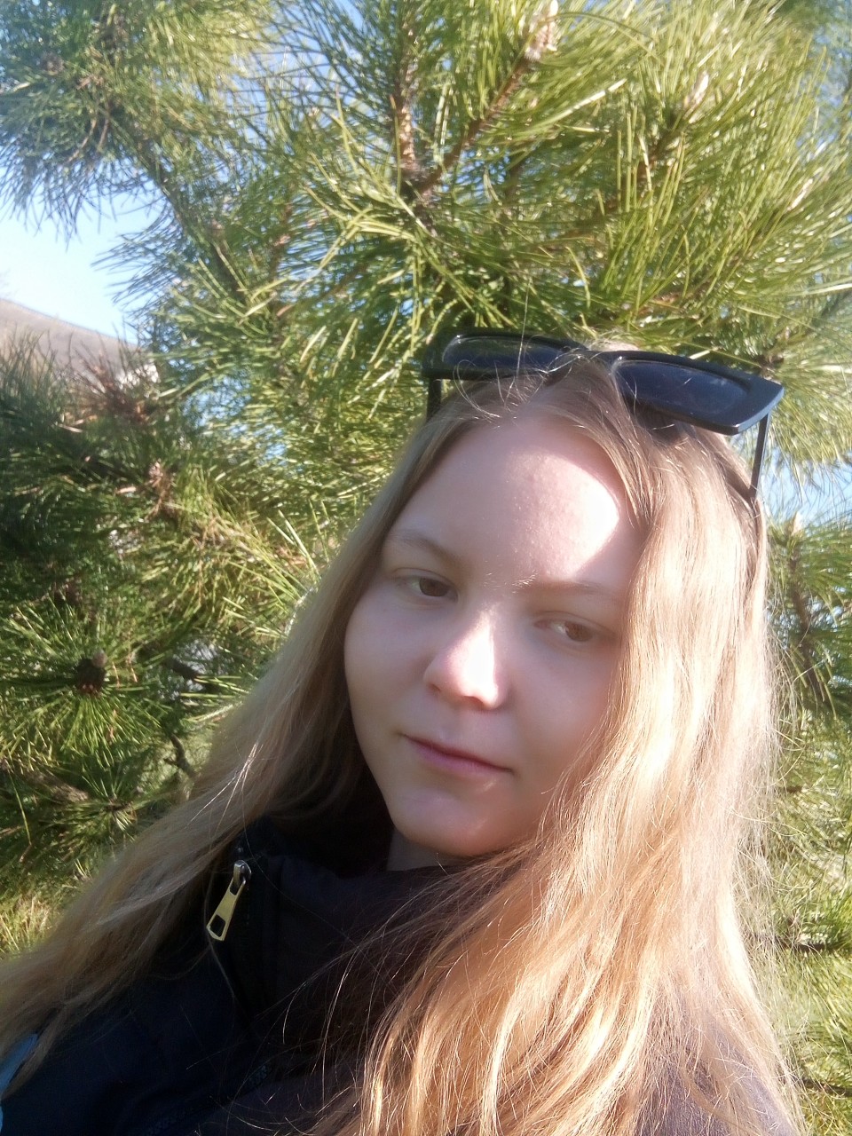 Рассветный Пёсик в LOOKY — публикация