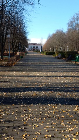 Елена в LOOKY. . Городской парк
