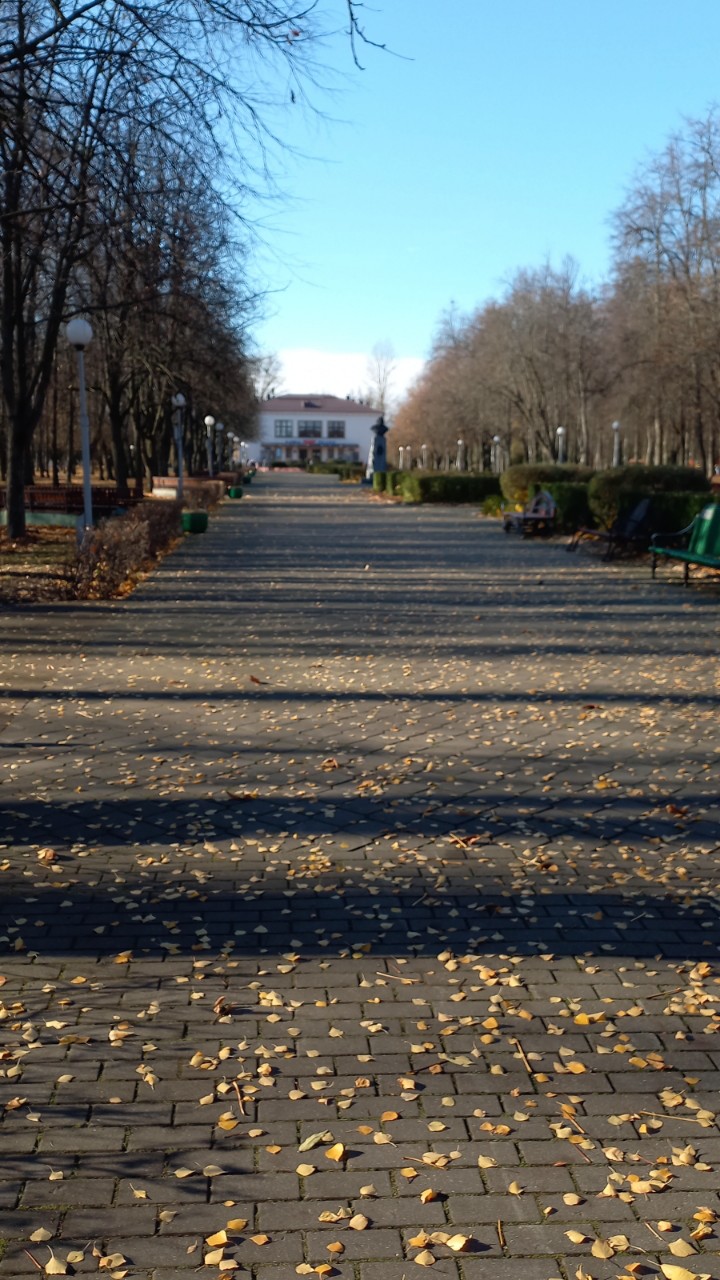 Елена in LOOKY. . Городской парк
