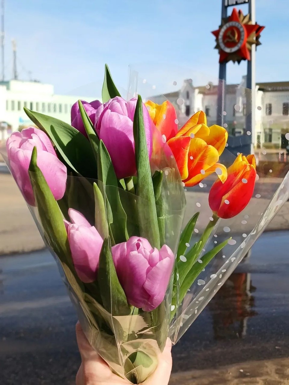 Сама себе весна🌷