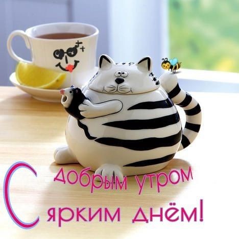 Looky_172392429941354 в LOOKY. . 