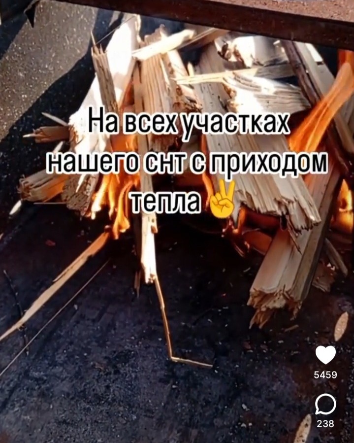 Екатерина Воронкина в LOOKY — фото 10