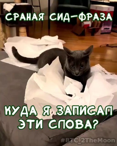 BTC_2TheMoon в LOOKY. . Проблема