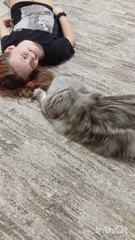 darenka_little в LOOKY. . [#cat ](cat)[#cats ]...