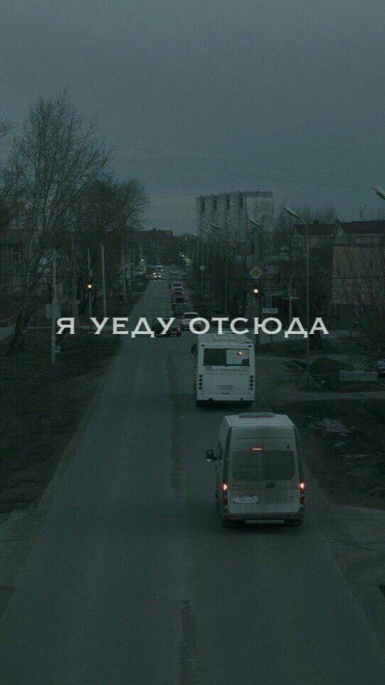 лисёнок in LOOKY. . 