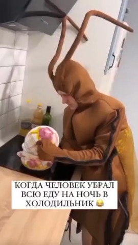 Dez_spb в LOOKY. . [#дезинфекция ](дези...