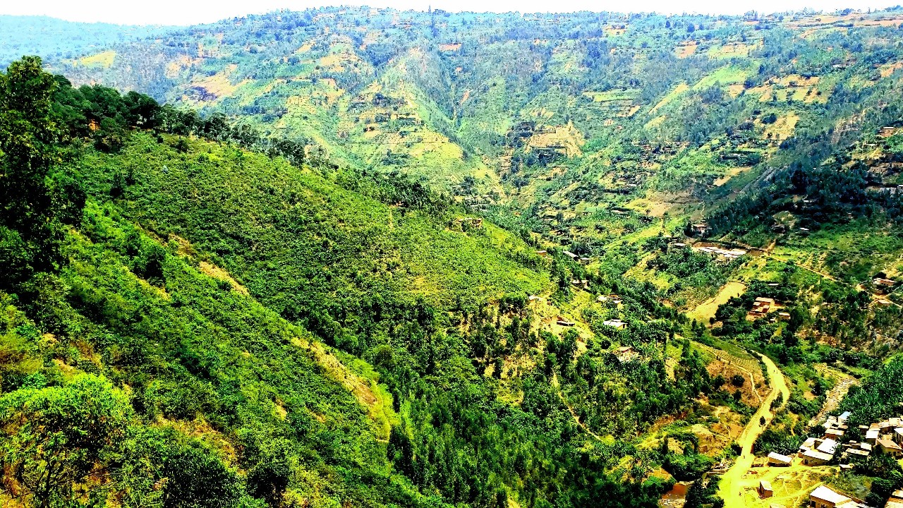 iamhirwaambassadeur в LOOKY — Africa, Rwanda 🇷🇼♥ the country of a thousands hills [#look