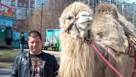 Владимир в LOOKY. . 