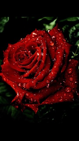 Looky_1706031349034 в LOOKY. . 