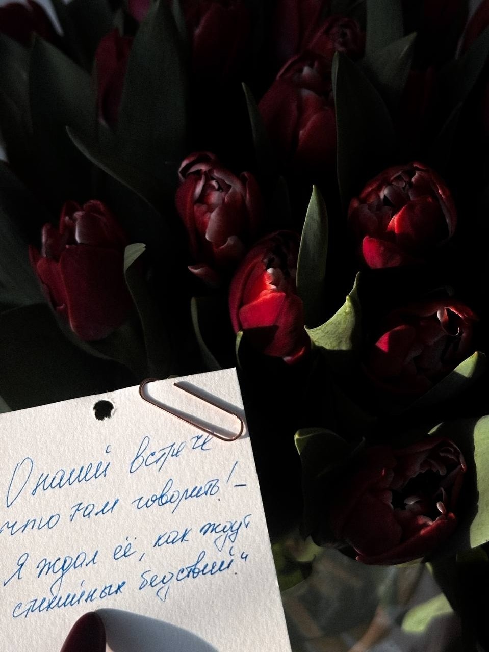 🔺С праздником девочки 8марта!!!
Мои роскошные и безжалостные, сладкие и безумные, опасные и прекрасные...
Пусть мир перед вами расстилается, как бархатная дорожка...
Идите по ней в собственном ритме, без суеты, без компромиссов, без чужих правил и мнений...
Оставайтесь искусством...🔻