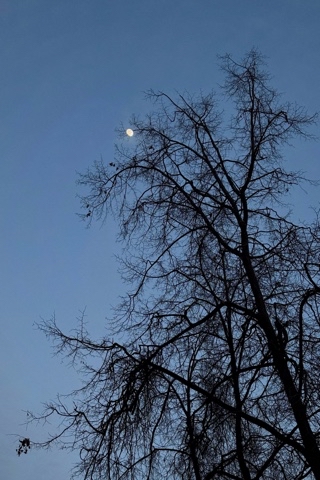 mefodiy.patarskiy в LOOKY. . * * *
Луна запуталас...