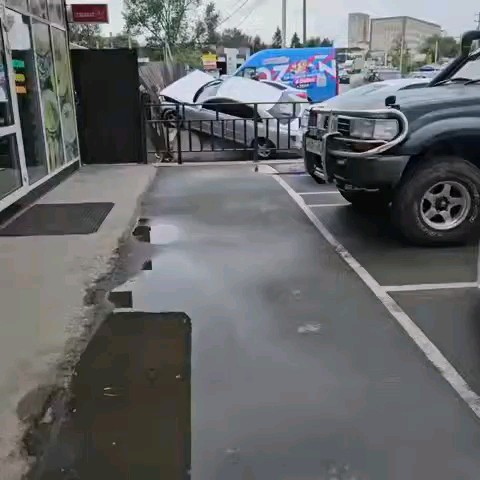 Серебряный Лисёнок в LOOKY — публикация