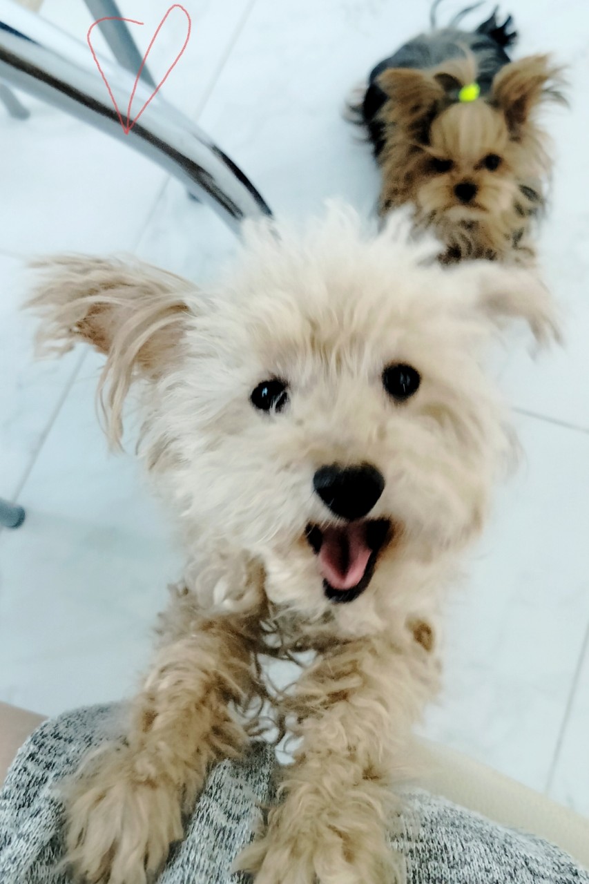 Vladova Tatiana в LOOKY. . 