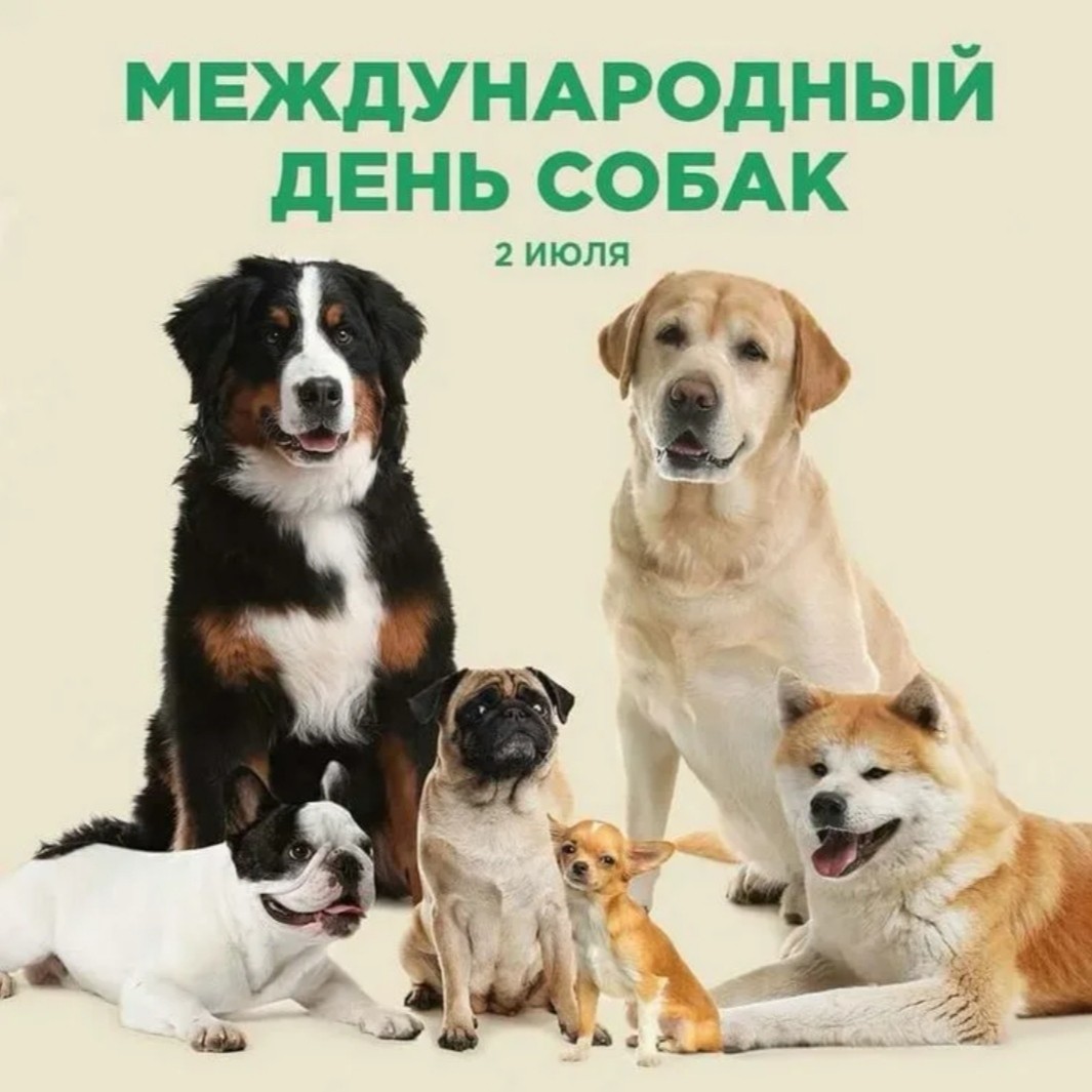 hobby_art в LOOKY — публикация