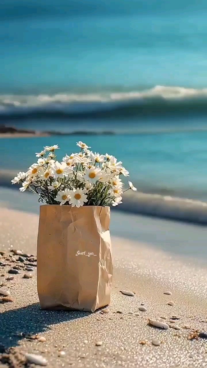 Svet_ya_ в LOOKY — 🌄 УТРО 17 ИЮЛЯ — ПЯТНИЦА 🌊

Доброе утро, друзья.

Пятница 