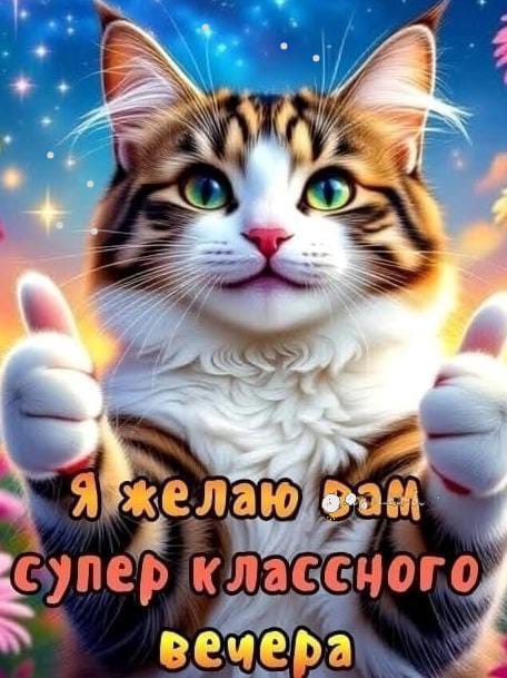 Looky_177542246309143