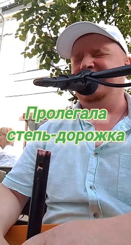 АЛЕКСЕЙ ГОЛОВИЦЫН ЯРОСЛАВЛЬ в LOOKY. . «ПРОЛЕГАЛА СТЕПЬ-ДОР...