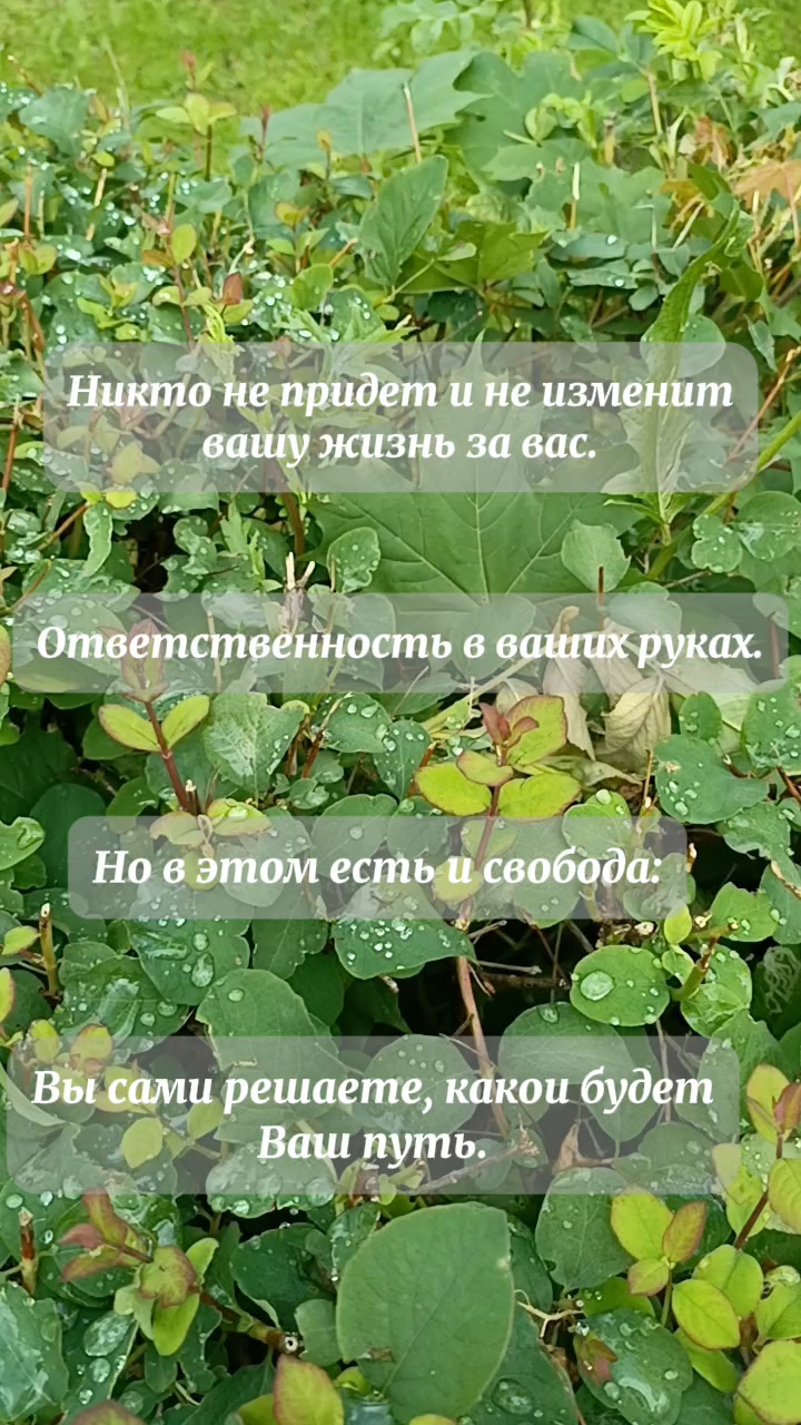 Ольга в LOOKY. #цитаты. #цитаты
