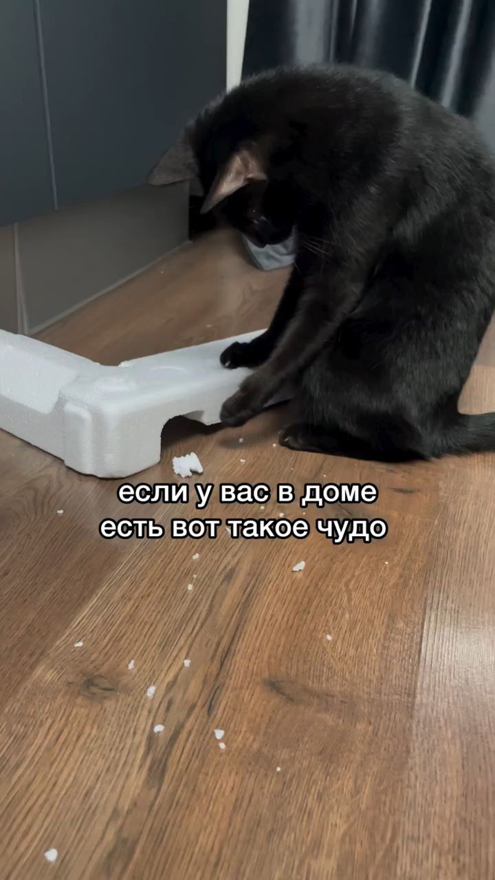 Looky_178000211704657 в LOOKY. #Neatsvor. К счастью, есть наде...