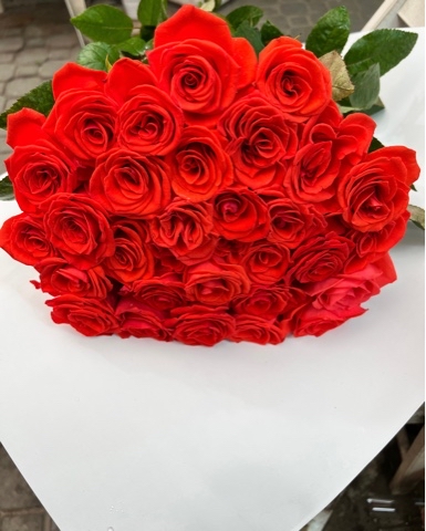 nikolai_flowers в LOOKY. #шахтыцветы,#шахтырозы,#цветышахты,#розышахты,#цветывшахтах,#дгтушахты,#блокнотшахты,#шахтыгород,#городшахты,#shakhty,#shachty,#shahty. Розы на любой вкус 
...
