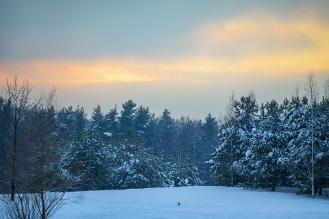 poboruev_landscape в LOOKY. #пейзаж,#природа,#природаРоссии,#закат,#рассвет,#утро,#вечер,#фотоприроды,#природноефото,#февраль,#зима,#снег,#лес,#парк,#небо,#облака,#фото,#фотоманитнас. Зимние зарисовки. Ве...