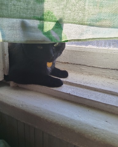 Looky_1705320123740 в LOOKY. . Всем самого доброго ...