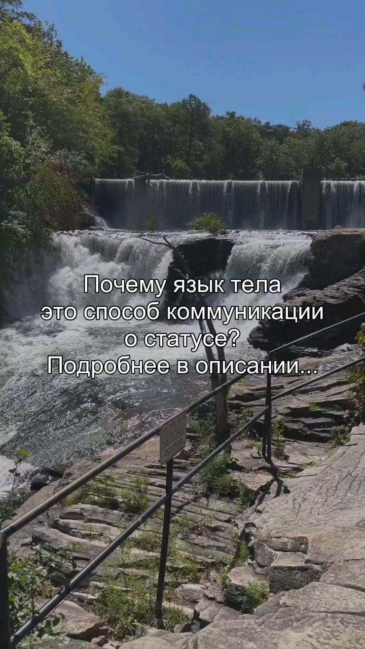Oleg_teem в LOOKY — Ты говоришь без слов. Твоё тело говорит за тебя. Осанка, взг