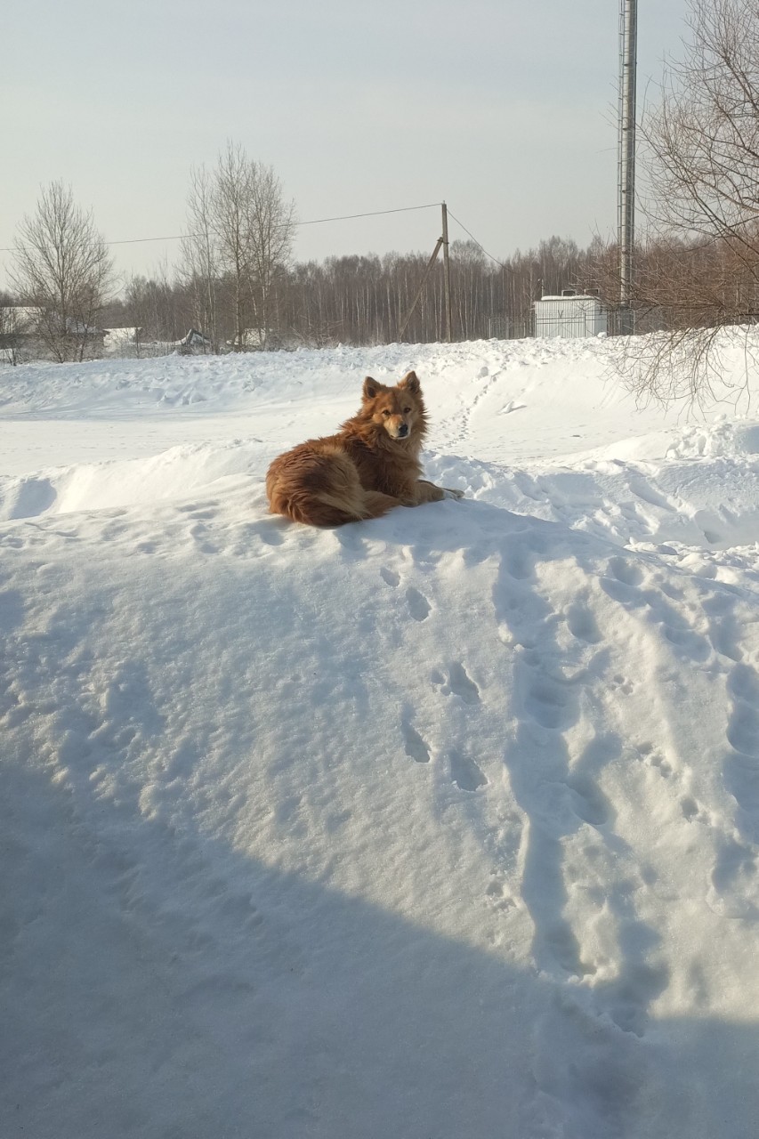 Ната Миро в LOOKY. . Тедди❤️