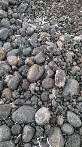 Looky_1694838346504 в LOOKY. . 