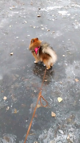 Nika_Ta в LOOKY. #итог_года. #итог_года