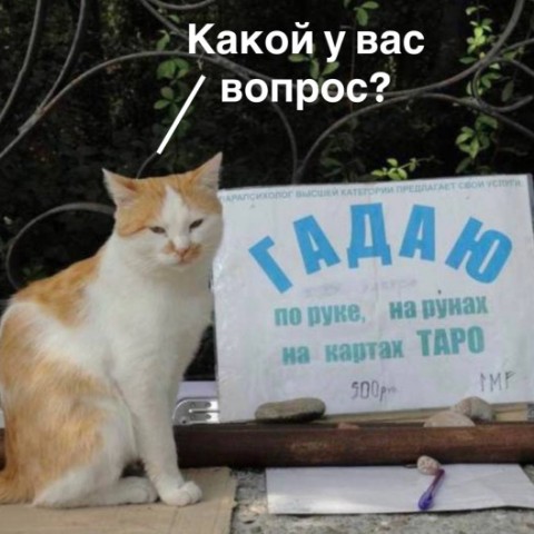 ТАРО_Фан в LOOKY. . [#тароонлайн ](тароо...
