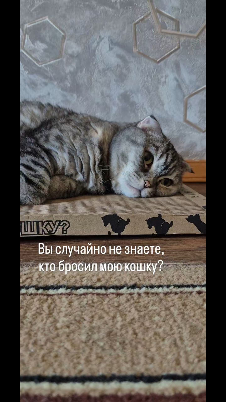 Мышка Муся и Маруся в LOOKY. . 