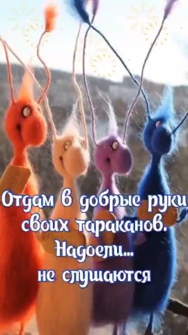 Dez_spb в LOOKY. . Дезинфекция дезинсек...
