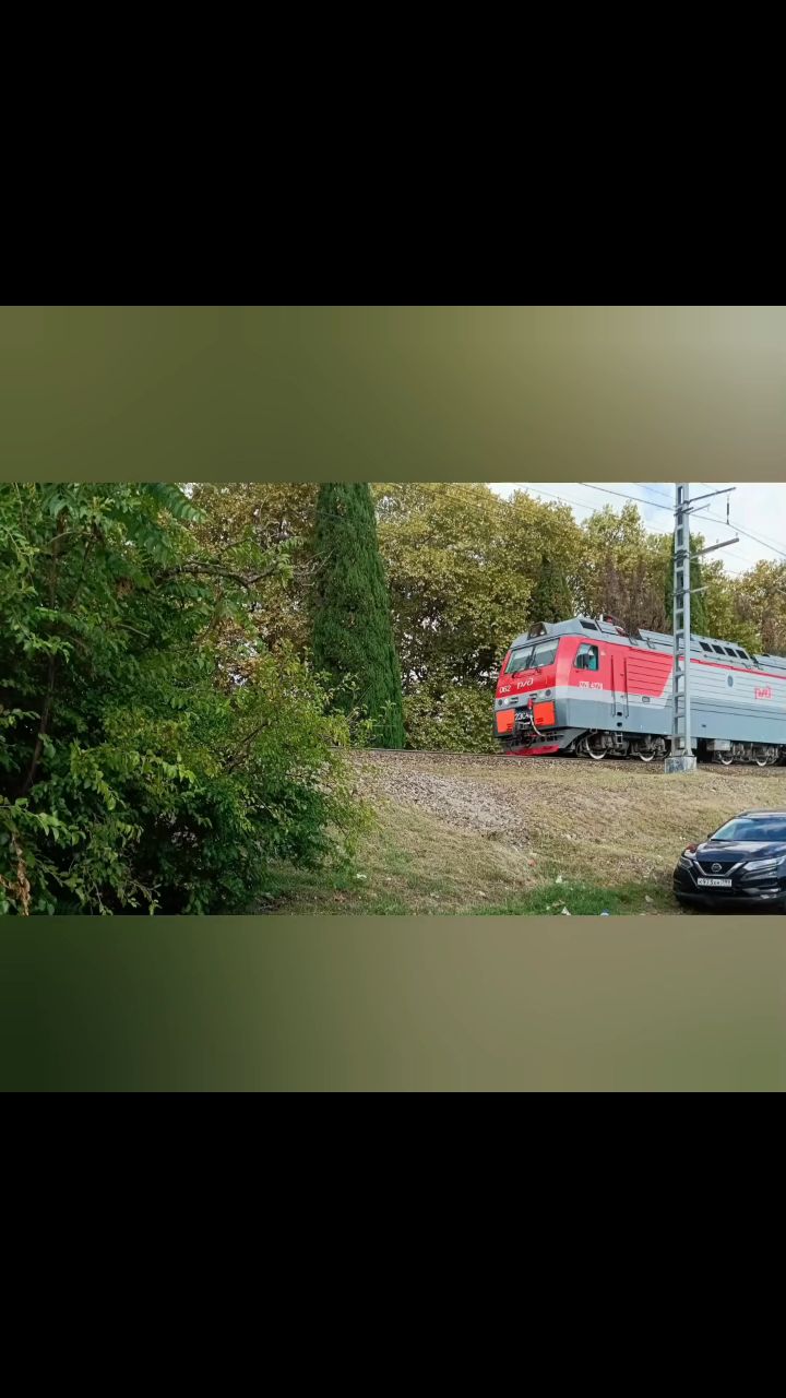 Кот Зяма в LOOKY. . Но небольшое видео н...