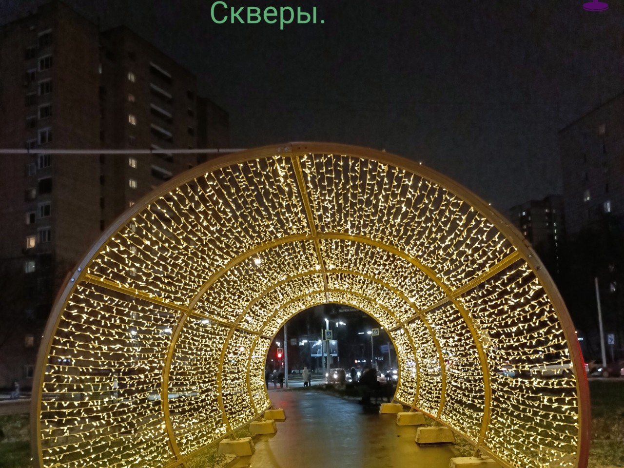 Прогулки с Серёгой в LOOKY — фото 2