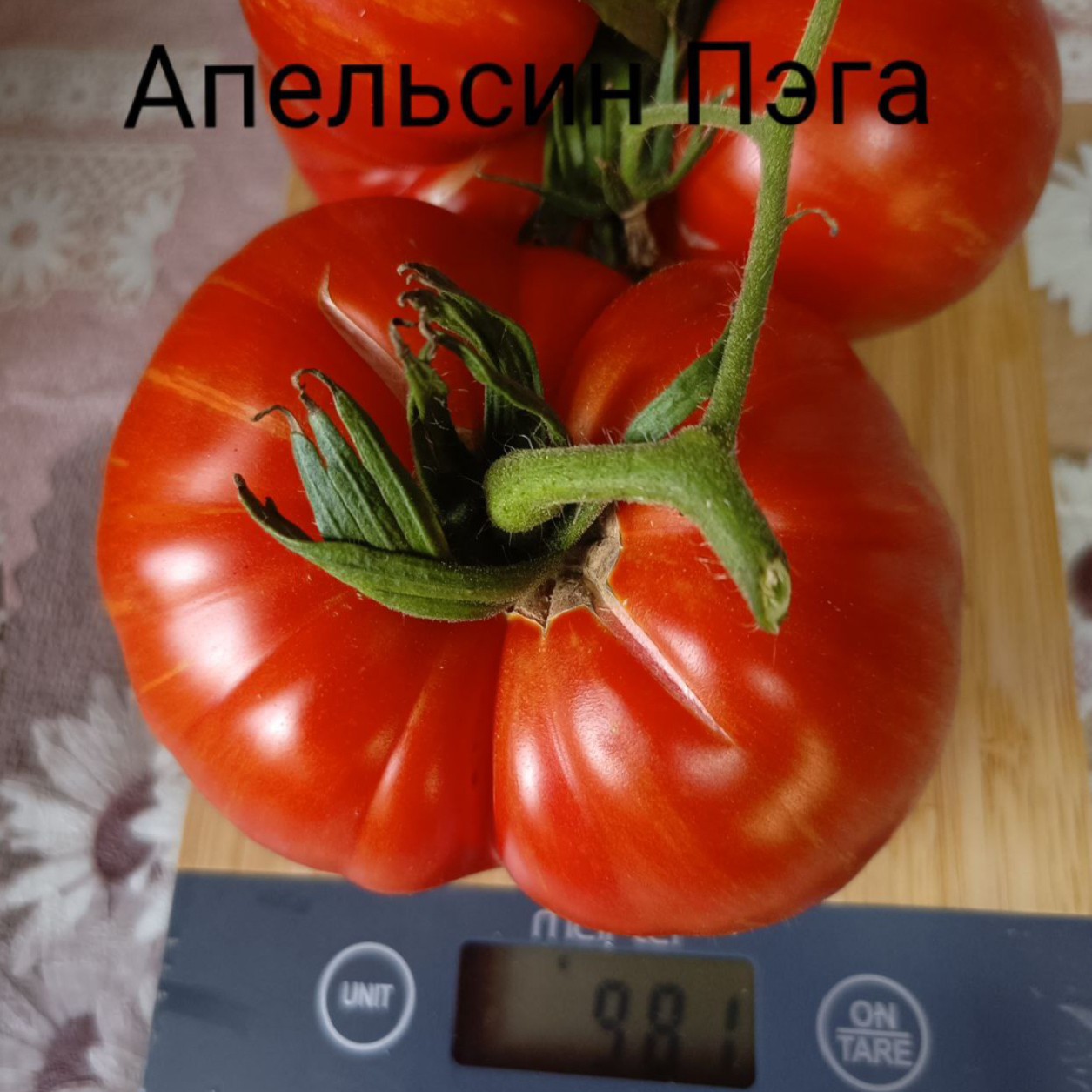 socnyetomaty в LOOKY — фото 1