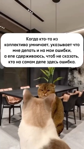 xoyutanova.vika в LOOKY. . 