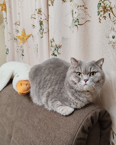 AleksWu в LOOKY. . 