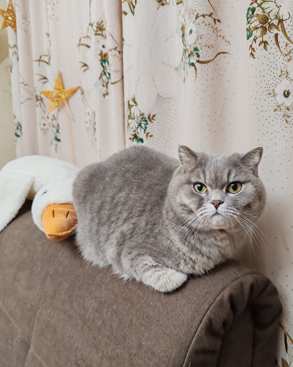 AleksWu в LOOKY — публикация