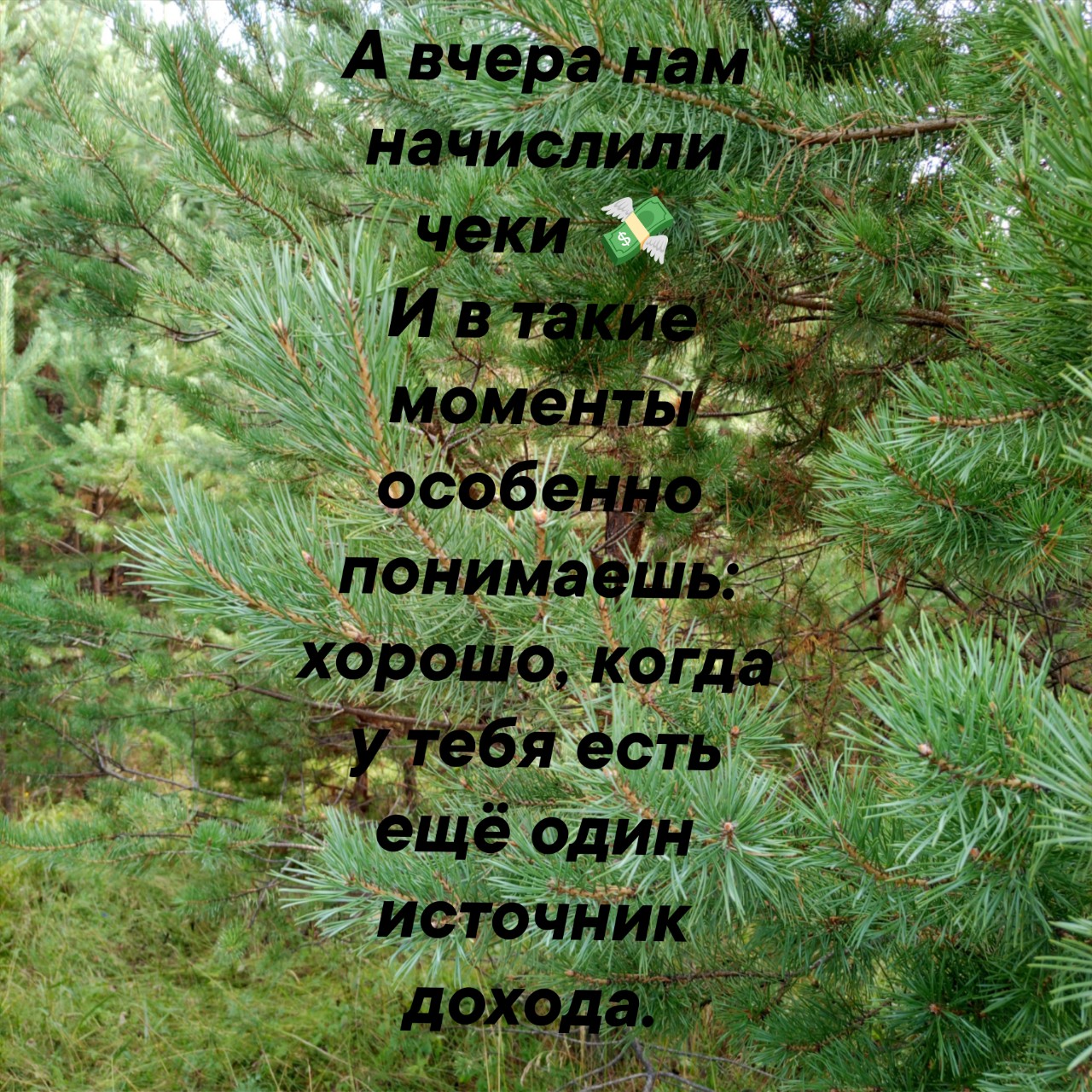 Оксана Труфанова в LOOKY — фото 3