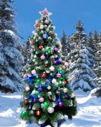 _juliasplants_ в LOOKY. #ёлка,#песня,#новыйгод. 🎄В 2025 году исполн...