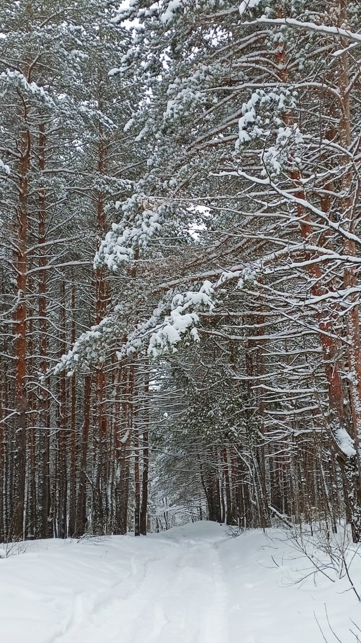 krylenkoelena in LOOKY. . Январь...#январь