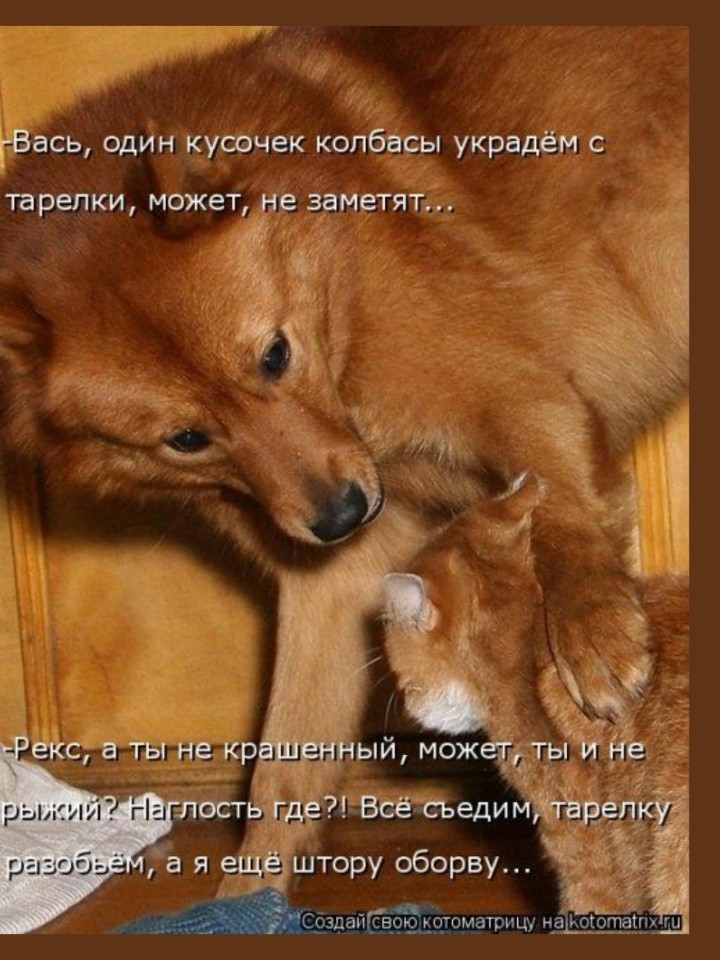 Marina в LOOKY — публикация